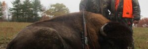 Hunting Guide Expectations