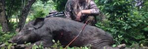 Hunter Posing With Boar