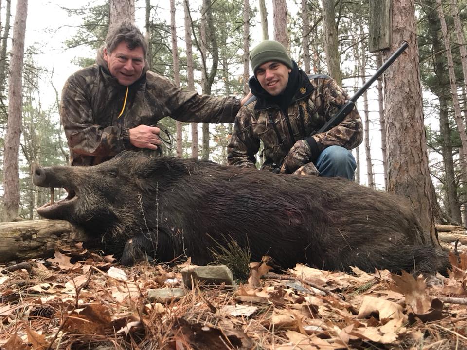 Wild Pig Hunting