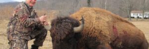 Buffalo Hunting in Tioga, PA