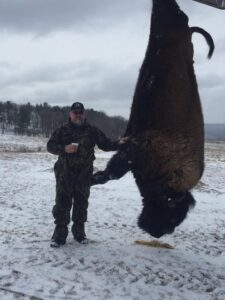 Hunter with hanging buffalo kill