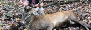 Hunter Posing With Red Stag Deer