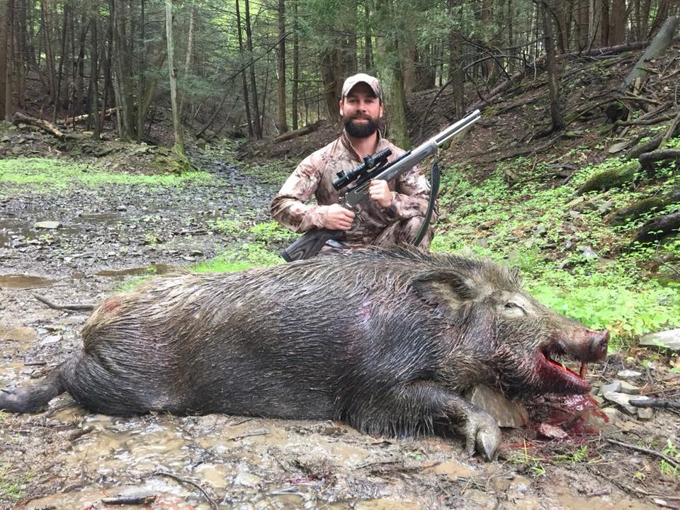 Hunter with shotgun next to boar