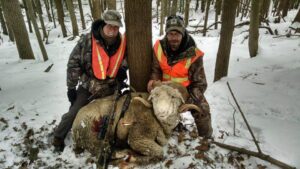 Hunters with Rocky Mountain Ram kill