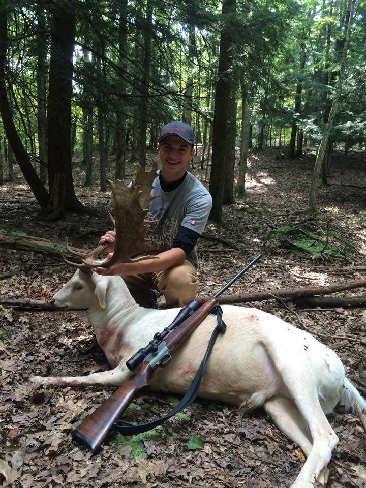Hunter with fallow deer