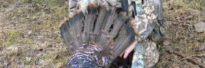 Turkey Hunting Tips