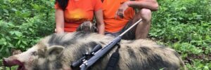 Boar Hunting