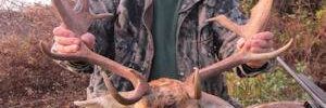 Hunter With Deer