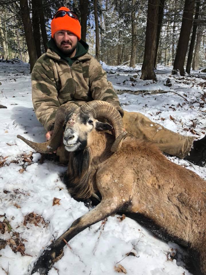 Hunter in Camouflage Posing With Corsican Ram