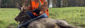 Hunter Posing With Deer and Rifle