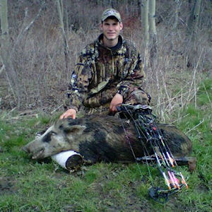 Hunting Boar