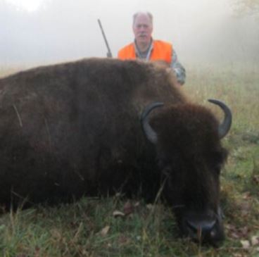 Hunter With Rifle Posing Next to Buffalo