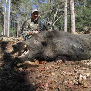 Man Posing with Hunted Boar