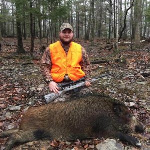Boar Hunting