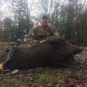 Boar Hunting