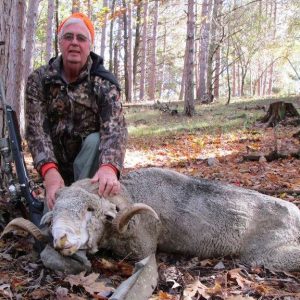 Hunter with Rocky Mountain Ram