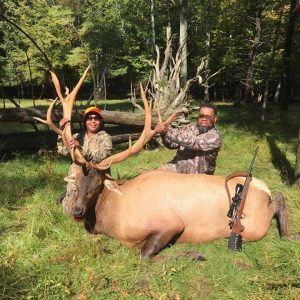 Elk Hunting at Tioga Boar Hunting