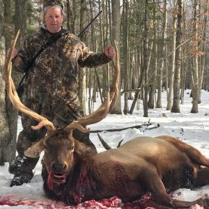 Trophy Elk Hunting