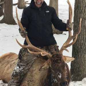 Hunter posing with hunted elk while holding the elks antlers