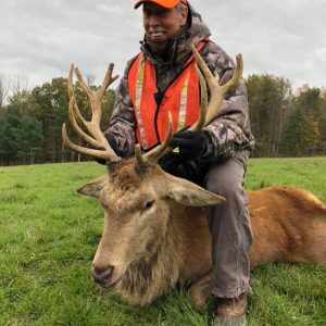 Hunter posing with red stag deer