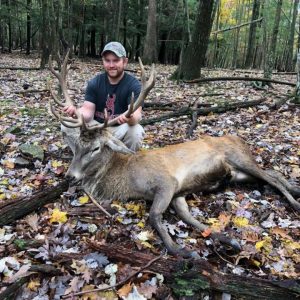Red Stag Deer Hunter Touching Antlers