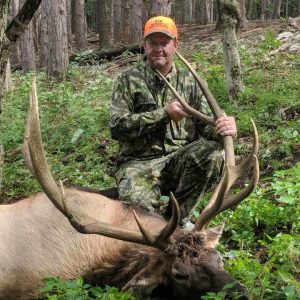 Elk Hunting in the Fall