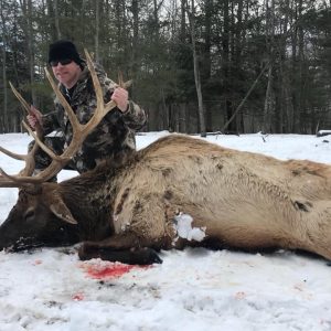 Elk Rifle Hunting