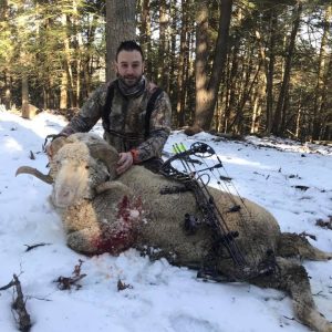 Hunter with Rocky Mountain Ram