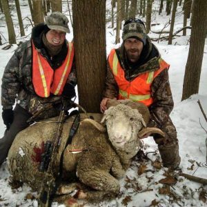 Two Hunters with Rocky Mountain Ram