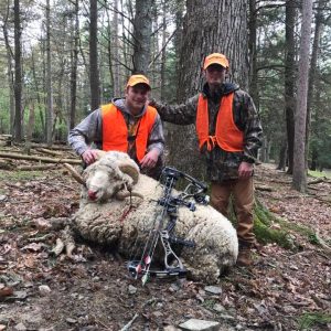 Two Hunters with Rocky Mountain Ram