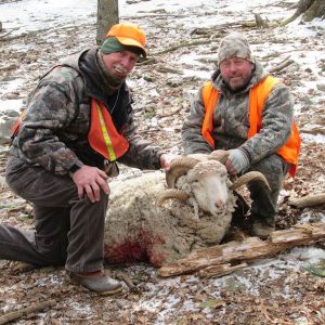 Two Hunters with Rocky Mountain Ram
