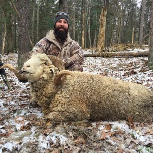 Hunter With Rocky Mountain Ram