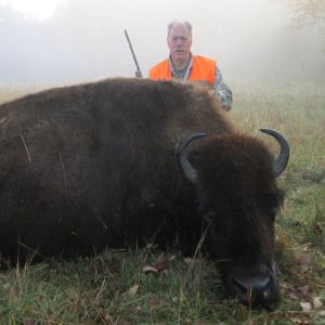 Large Buffalo with Hunter