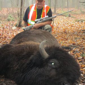 Hunter with Buffalo