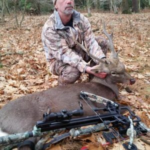 Sika Deer 4