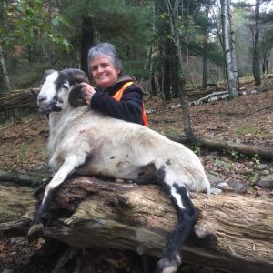 Hunter with Corsican Ram