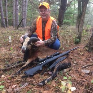 Hunter with Corsican Ram