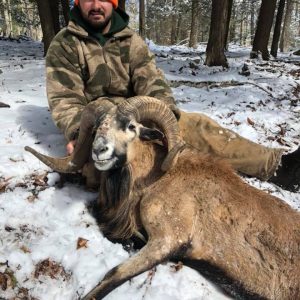 Hunter with Corsican Ram