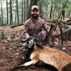 Hunter with Corsican Ram