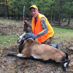 Hunter with Corsican Ram