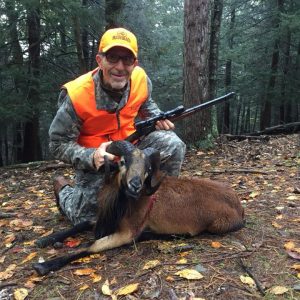 Hunter with Corsican Ram