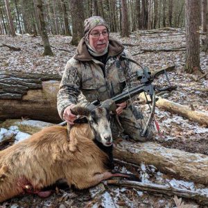 Hunter with Corsican Ram