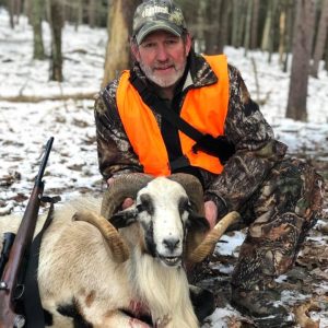 Hunter with Corsican Ram