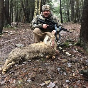Male with Hunted Spanish Goat