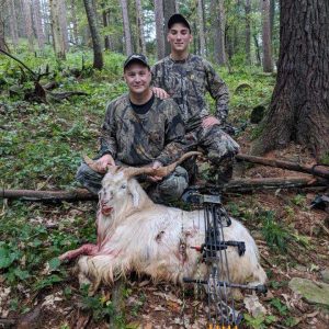 Two Bow Hunters with Spanish Goat
