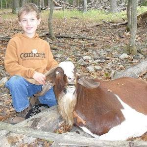 Young Boy with Spanish Goat