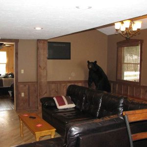 Couches and Taxidermied Bear inside Tioga Ranch Hunting Lodge